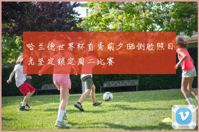 哈兰德世界杯首秀前夕晒侧脸照目光坚定锁定周二比赛