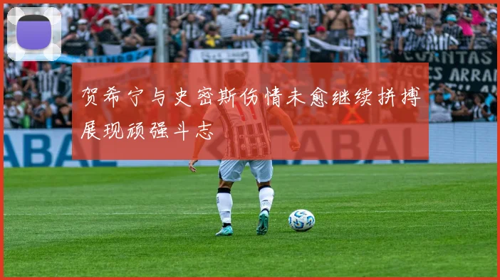贺希宁与史密斯伤情未愈继续拼搏展现顽强斗志
