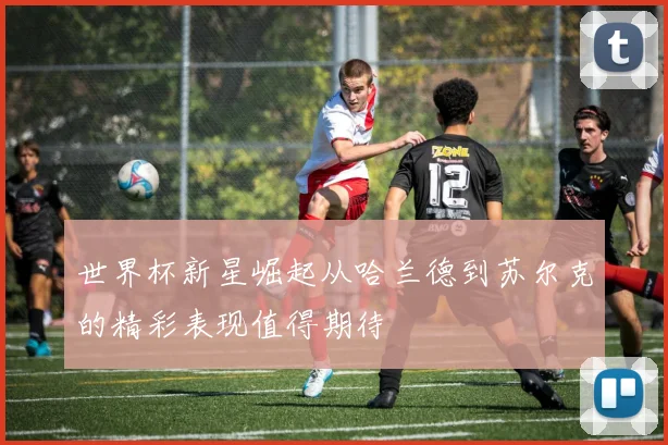 世界杯新星崛起从哈兰德到苏尔克的精彩表现值得期待